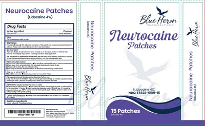 Label (Neurocaine Patches)